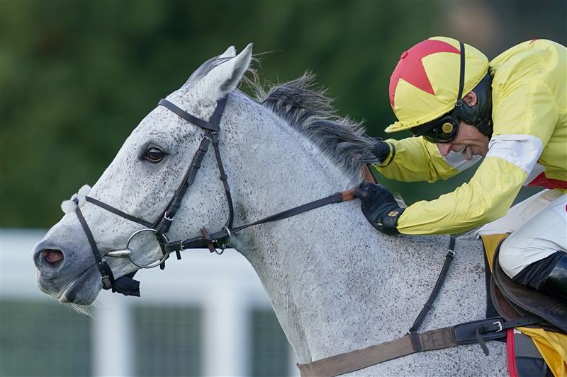 ESHER, ENGLAND - DECEMBER 05: Harry Skelton riding Politologue clear the last to win The Betfair Tingle Creek Chase at Sandown Park on December 05, 2020 in Esher, England. Owners and a limited number of the public are allowed to attend the meeting due to the Coronavirus pandemic. (Photo by Alan Crowhurst/Getty Images)