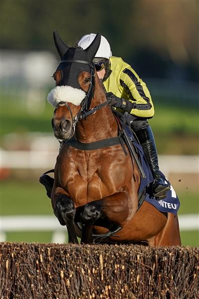 ESHER, ENGLAND - DECEMBER 05: Harry Skelton riding Allmankind on their way to winning The Planteur At Chapel Stud Henry VIII Novices' Chase at Sandown Park on December 05, 2020 in Esher, England. Owners and a limited number of the public are allowed to attend the meeting due to the Coronavirus pandemic. (Photo by Alan Crowhurst/Getty Images)