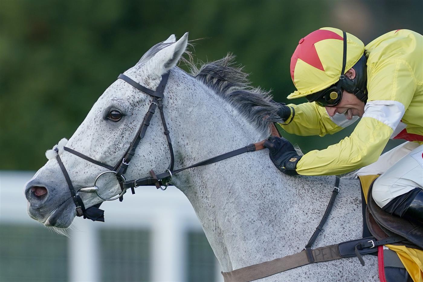ESHER, ENGLAND - DECEMBER 05: Harry Skelton riding Politologue clear the last to win The Betfair Tingle Creek Chase at Sandown Park on December 05, 2020 in Esher, England. Owners and a limited number of the public are allowed to attend the meeting due to the Coronavirus pandemic. (Photo by Alan Crowhurst/Getty Images)