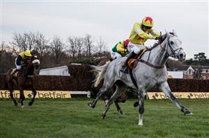 2020 Tingle Creek Chase Tips - Former winner to prevail in Sandown showstopper