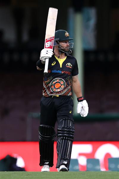 SYDNEY, AUSTRALIA - DECEMBER 06: Matthew Wade of Australia reaches 50 runs during game two of the Twenty20 International series between Australia and India at Sydney Cricket Ground on December 06, 2020 in Sydney, Australia. (Photo by Ryan Pierse/Getty Images)
