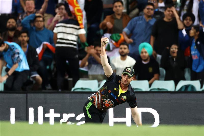 SYDNEY, AUSTRALIA - DECEMBER 08: Daniel Sams of Australia catches Shikhar Dhawan of India off a delivery by Mitchell Swepson of Australia during game three of the Twenty20 International series between Australia and India at Sydney Cricket Ground on December 08, 2020 in Sydney, Australia. (Photo by Cameron Spencer/Getty Images)