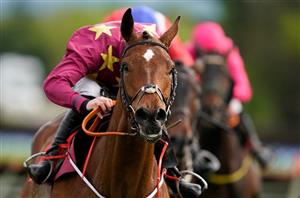 2020 Savills Chase Odds - Minella Indo tops Leopardstown betting