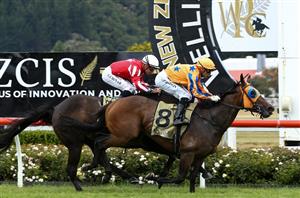 auckland cup 2022 bettingadvice