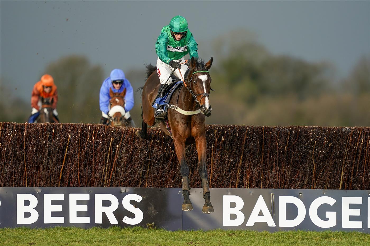 Racing Photos Wincanton races December 15 Pictures.