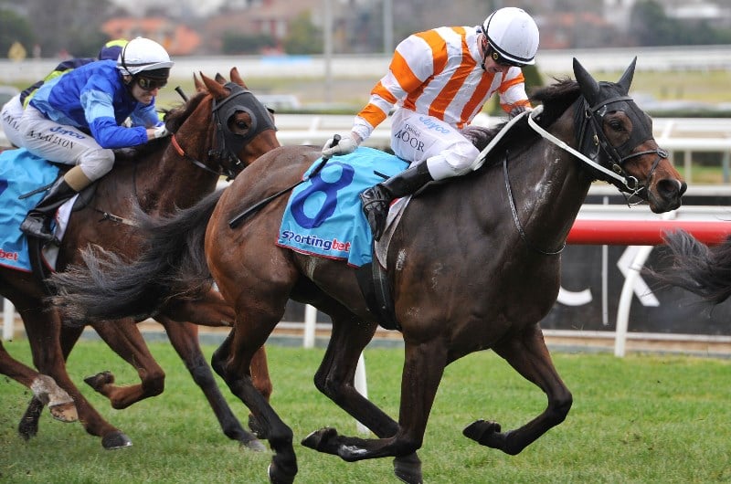 Yarra Valley Racing Tips