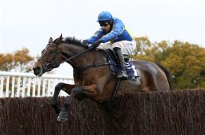 Newspaper Tips - Shan Blue, Epatante and Clan Des Obeaux the expert's treble on Boxing Day
