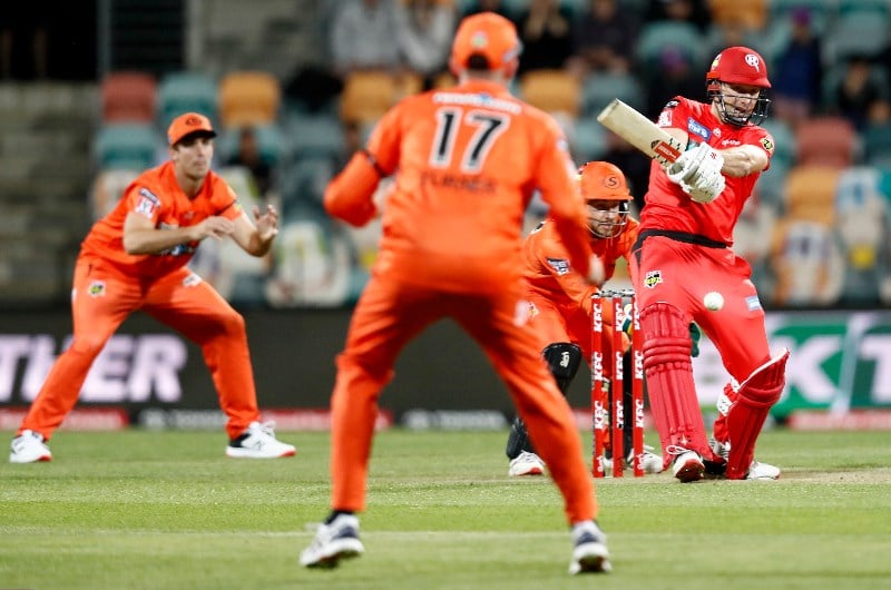 Scorchers v Renegades