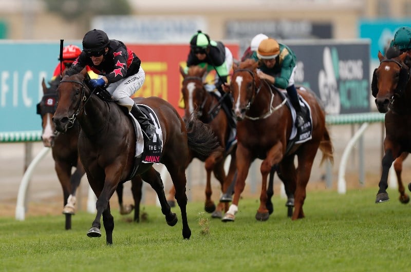 Magic Millions 3YO Guineas Betting Odds
