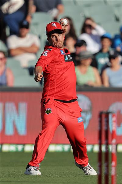 ADELAIDE, AUSTRALIA - JANUARY 05: Aaron Finch of the Renegades fields during the Big Bash League match between the Melbourne Renegades and the Adelaide Strikers at Adelaide Oval, on January 05, 2021, in Adelaide, Australia. (Photo by Daniel Kalisz/Getty Images)