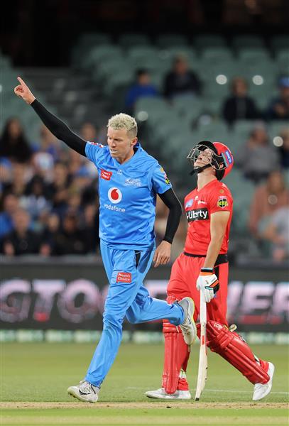 ADELAIDE, AUSTRALIA - JANUARY 05: Peter Siddle of the Strikers celebrates during the Big Bash League match between the Melbourne Renegades and the Adelaide Strikers at Adelaide Oval, on January 05, 2021, in Adelaide, Australia. (Photo by Daniel Kalisz/Getty Images)
