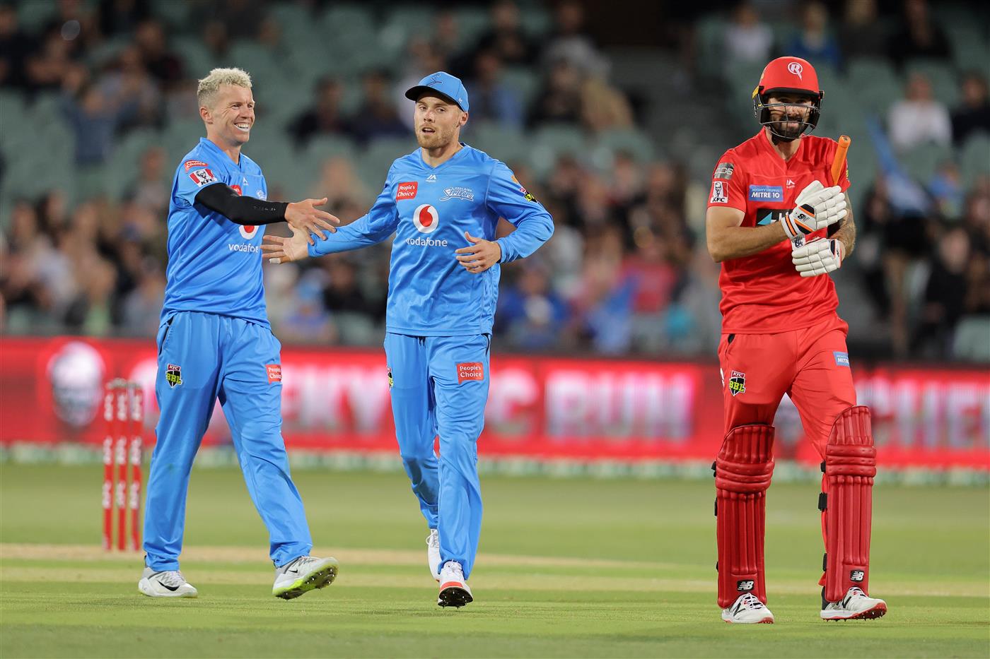 ADELAIDE, AUSTRALIA - JANUARY 05: Peter Siddle of the Strikers celebrates during the Big Bash League match between the Melbourne Renegades and the Adelaide Strikers at Adelaide Oval, on January 05, 2021, in Adelaide, Australia. (Photo by Daniel Kalisz/Getty Images)