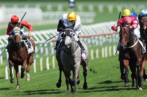 country championships randwick