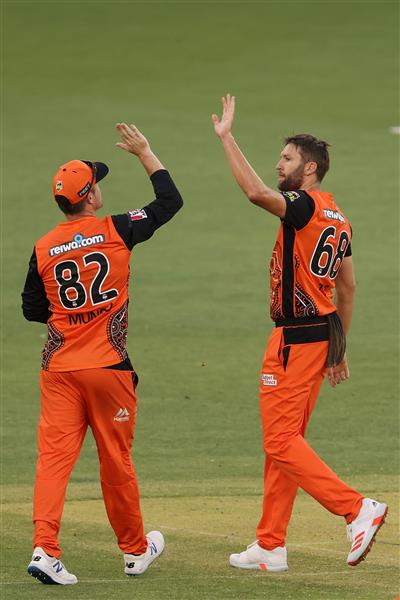 PERTH, AUSTRALIA - JANUARY 06: Colin Munro and Andrew Tye of the Scorchers celebrate the wicket of Stephen O'Keefe of the Sixers during the Big Bash League match between the Perth Scorchers and the Sydney Sixers at Optus Stadium, on January 06, 2021, in Perth, Australia. (Photo by Paul Kane/Getty Images)