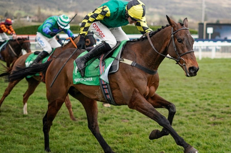 2021 Stayers' Hurdle Odds and Entries