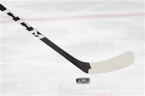 ice hockey puck and stick
