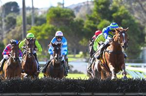 jumps racing warrnambool