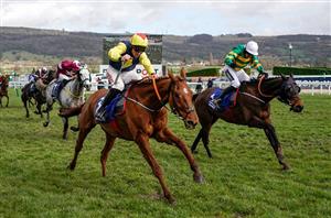 2021 Cheltenham Festival Tips - Top Five Handicap Trends