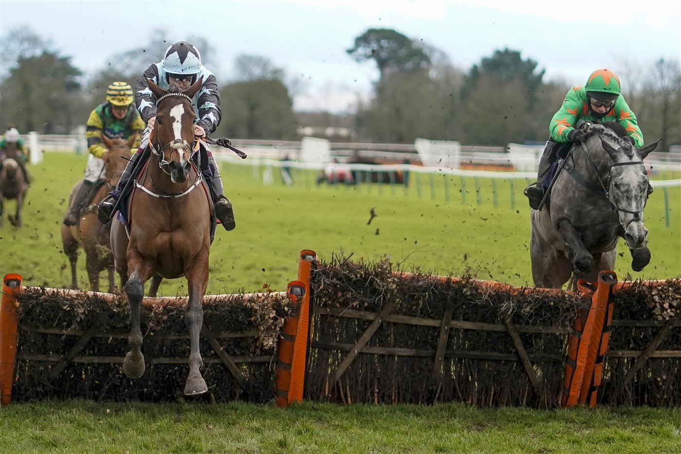 Racing Photos Fontwell races 14.1.21.
