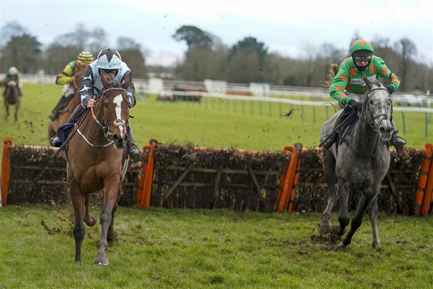 Racing Photos Fontwell races 14.1.21.