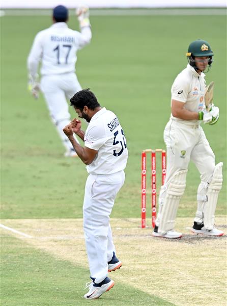 BRISBANE, AUSTRALIA - JANUARY 18: Shardul Thakur of India celebrates taking the wicket of Tim Paine of Australia during day four of the 4th Test Match in the series between Australia and India at The Gabba on January 18, 2021 in Brisbane, Australia. (Photo by Bradley Kanaris/Getty Images)