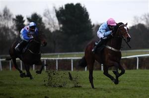 Cheltenham Festival not on the agenda for Eileendover