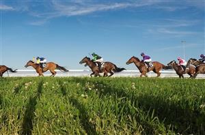 Scone racing tips for 14.01.2020