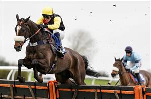 2021 Cheltenham Festival Tips - Three horses to back before Trials Day