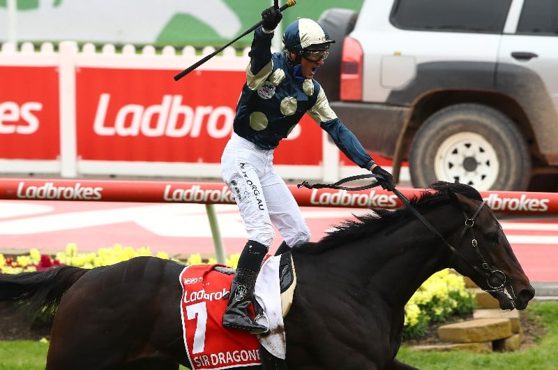 Group One Stars Impress at Geelong Trials