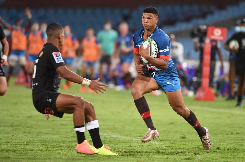 Bulls vs Sharks