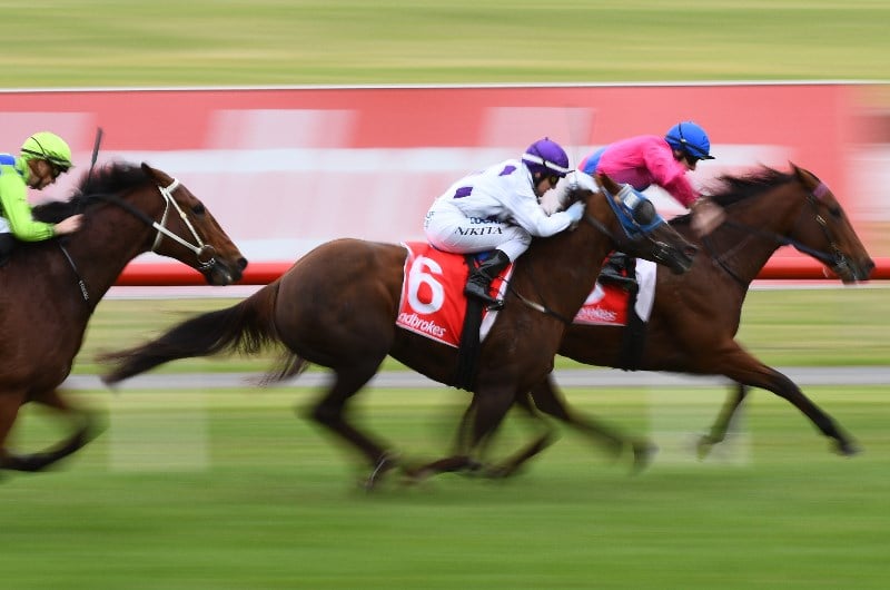 Stony Creek Racing Tips, Best Bets & Odds Today's Betting Tips for