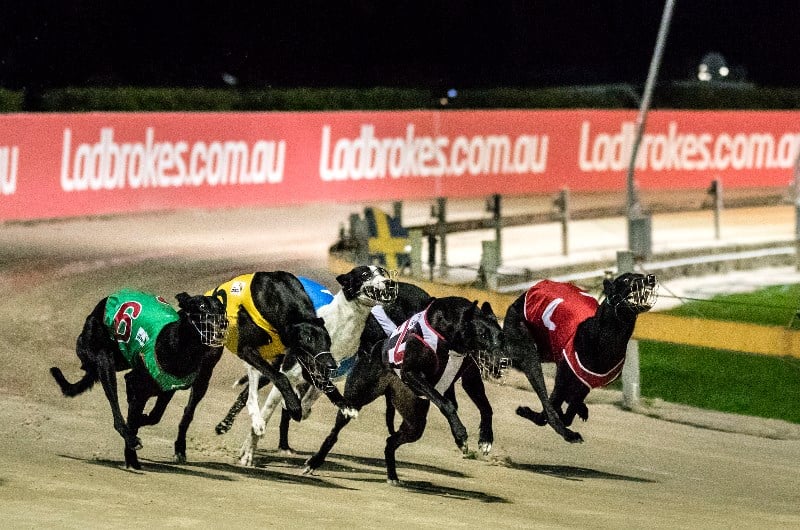 Garrard's 520m Betting Tips