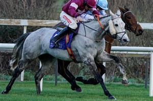 2021 Irish Champion Hurdle Tips - Outsider can challenge the big guns at Leopardstown