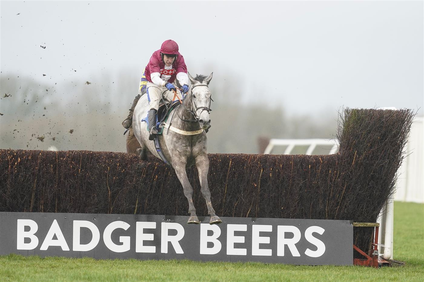 Racing Photos Wincanton racecourse pictures 4.2.2021