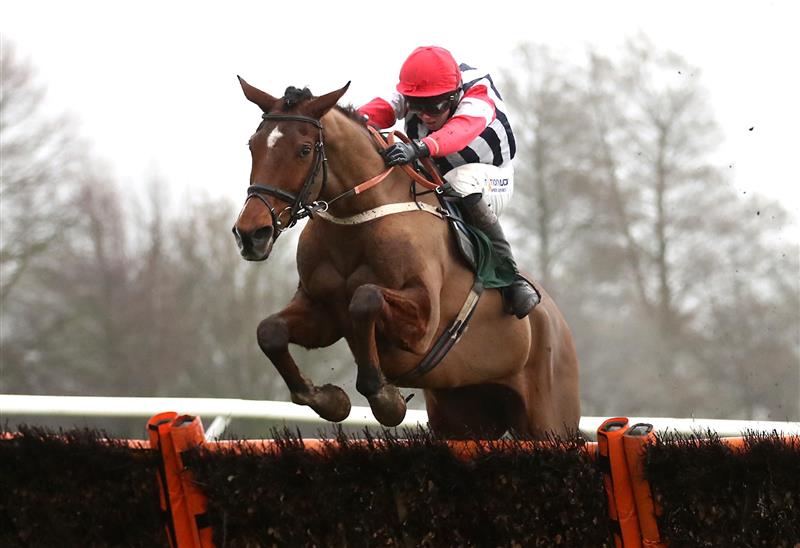 CATTERICK, ENGLAND - FEBRUARY 05: Omar Maretti ridden by jockey Kielan Woods on their way to winning the Racing TV Profits Returned To Racing Maiden Hurdle at Catterick Racecourse. on February 5, 2021 in Catterick, England. (Photo by Tim Goode - Pool / Getty Images)