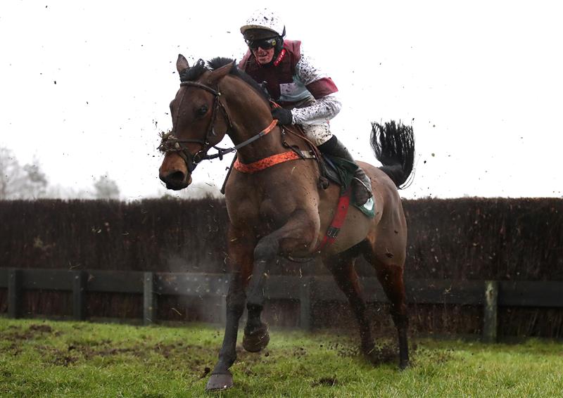CATTERICK, ENGLAND - FEBRUARY 05: Lucca Lady ridden by jockey Benjamin Poste during the Meetings That Matter On Racing TV Mares' Handicap Chase race at Catterick Racecourse on February 5, 2021 in Catterick, England. (Photo by Tim Goode - Pool / Getty Images)