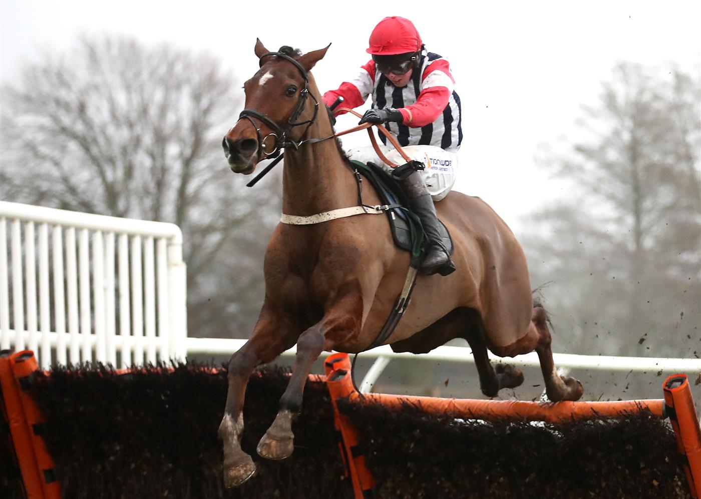 CATTERICK, ENGLAND - FEBRUARY 05: Omar Maretti ridden by jockey Kielan Woods on their way to winning the Racing TV Profits Returned To Racing Maiden Hurdle at Catterick Racecourse. on February 5, 2021 in Catterick, England. (Photo by Tim Goode - Pool / Getty Images)