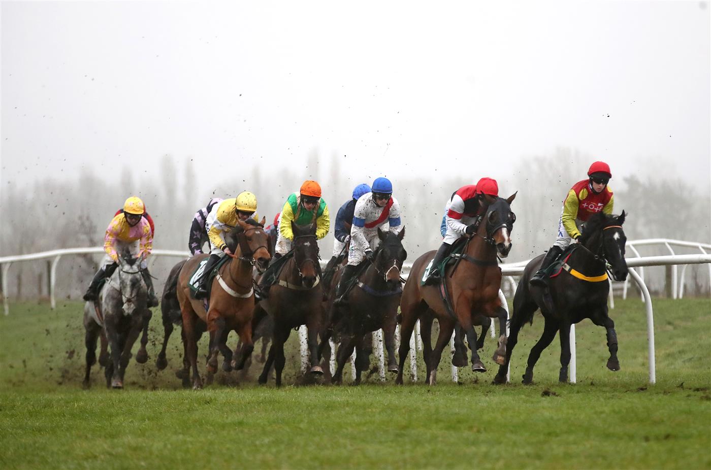 CATTERICK, ENGLAND - FEBRUARY 05: Runners and riders in the kingmakerracedays.co.uk Celebrate Mary Harle's 101st Birthday Handicap Hurdle race at Catterick Racecourse on February 5, 2021 in Catterick, England. (Photo by Tim Goode - Pool / Getty Images)
