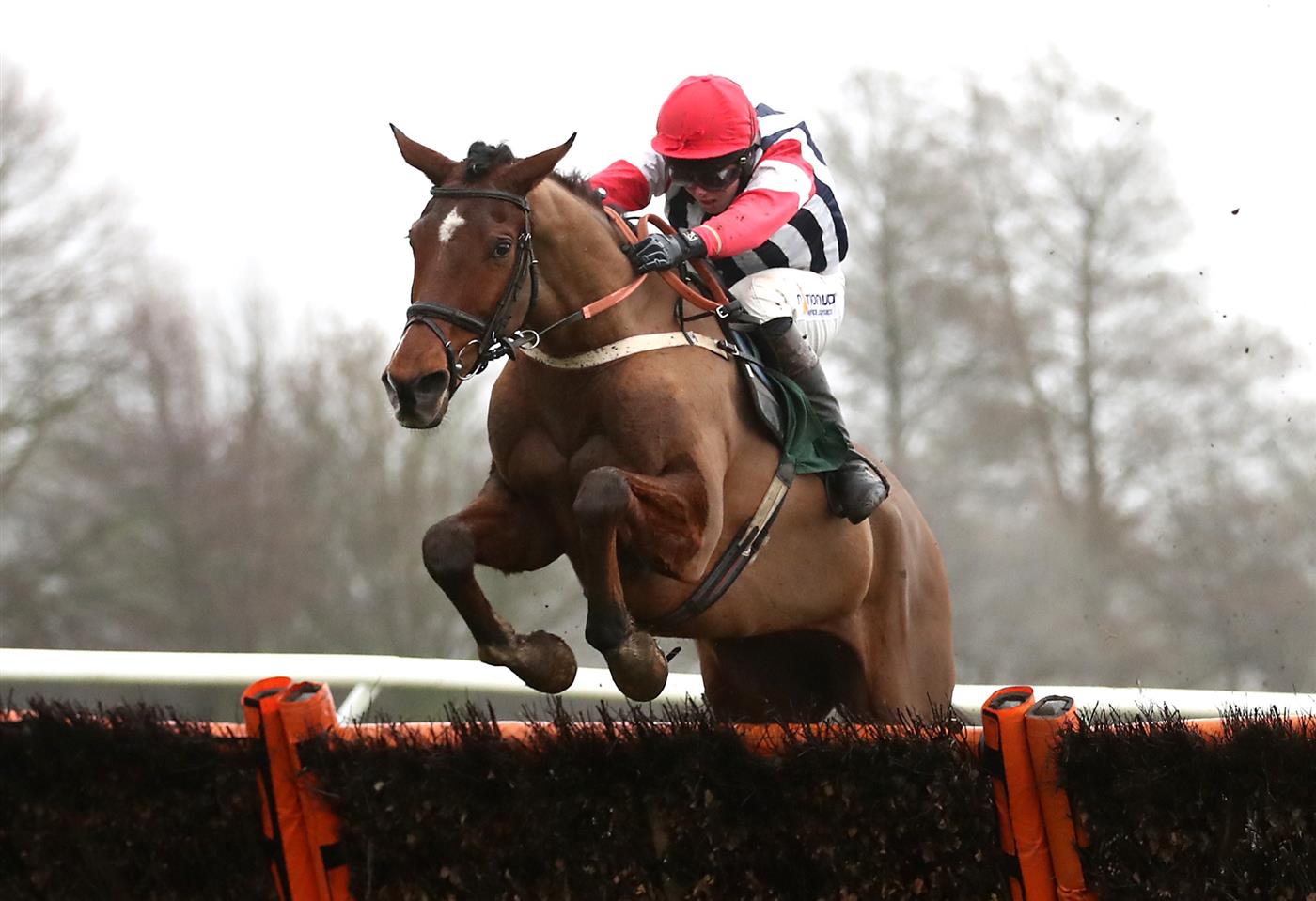 CATTERICK, ENGLAND - FEBRUARY 05: Omar Maretti ridden by jockey Kielan Woods on their way to winning the Racing TV Profits Returned To Racing Maiden Hurdle at Catterick Racecourse. on February 5, 2021 in Catterick, England. (Photo by Tim Goode - Pool / Getty Images)