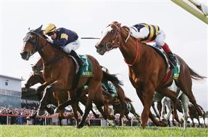 Pinjarra Racing Tips for 23.01.2020