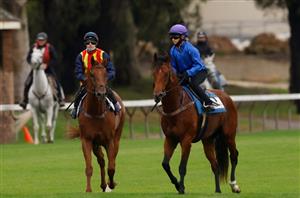 Black Caviar Lightning Stakes Barrier Draw & Final Field