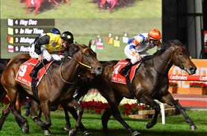 Hey Doc Jumpout - News