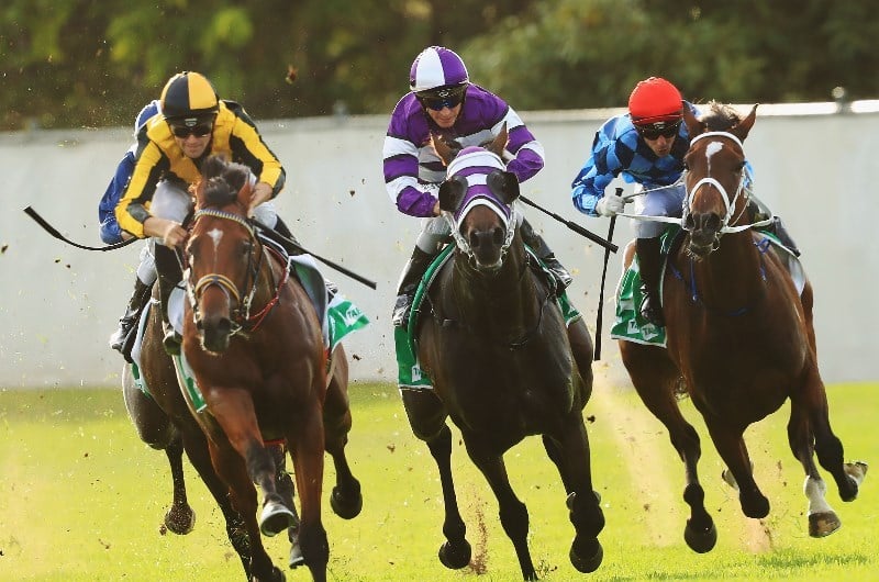 Canterbury Racing Tips, Best Bets & Odds Today's Betting Tips for