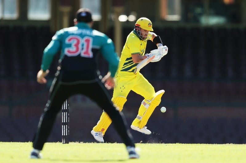aaron finch new zealand