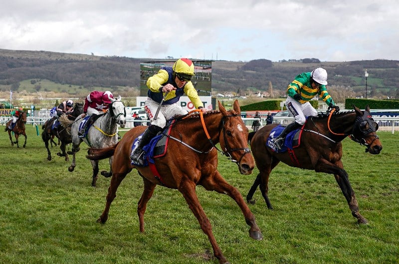 2021 Stayers' Hurdle Tips, Odds and Betting Predictions.