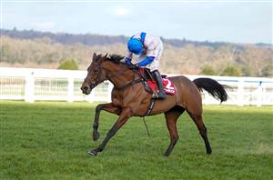 2021 Mares' Hurdle Tips – Skelton’s mare can regain her crown