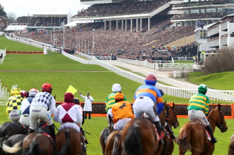 supreme novices hurdle