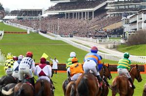 2021 Supreme Novices' Hurdle Tips – Irish rival could upstage the favourite