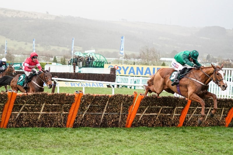 Mares' Novices' Hurdle Live Stream - Watch the Cheltenham race online
