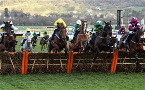 2021 Cheltenham Festival News - Entries for the Handicap Hurdles revealed